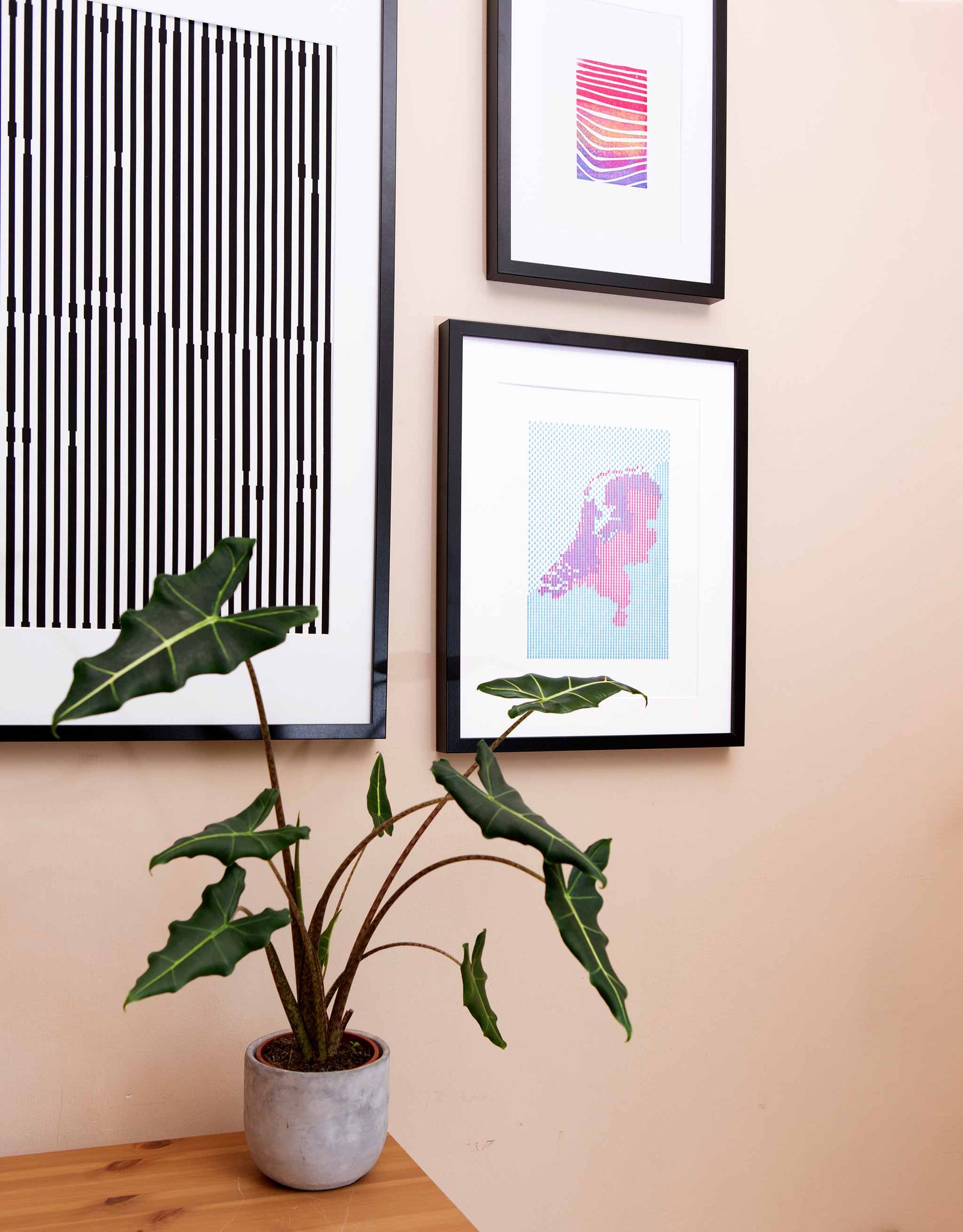 Angle view of Letterpress patterned map of The Netherlands in magenta and blue. Shown in black frame on wall with plant and other art.
